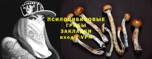 амф Вязьма