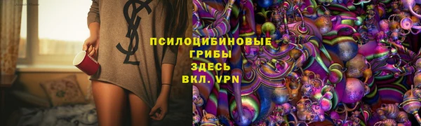 амф Вязьма