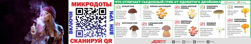 Псилоцибиновые грибы мицелий Купить Ладушкин